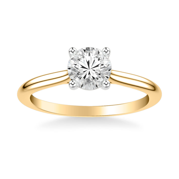 Classic Cathedral Setting Solitaire Engagement Ring with Polished Shank